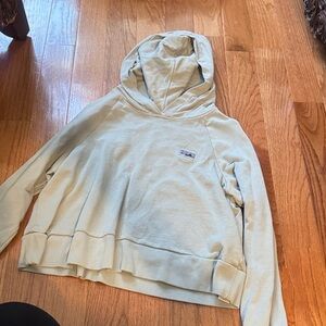 Patagonia Cotton Light Sage Green Hooded Sweatshirt